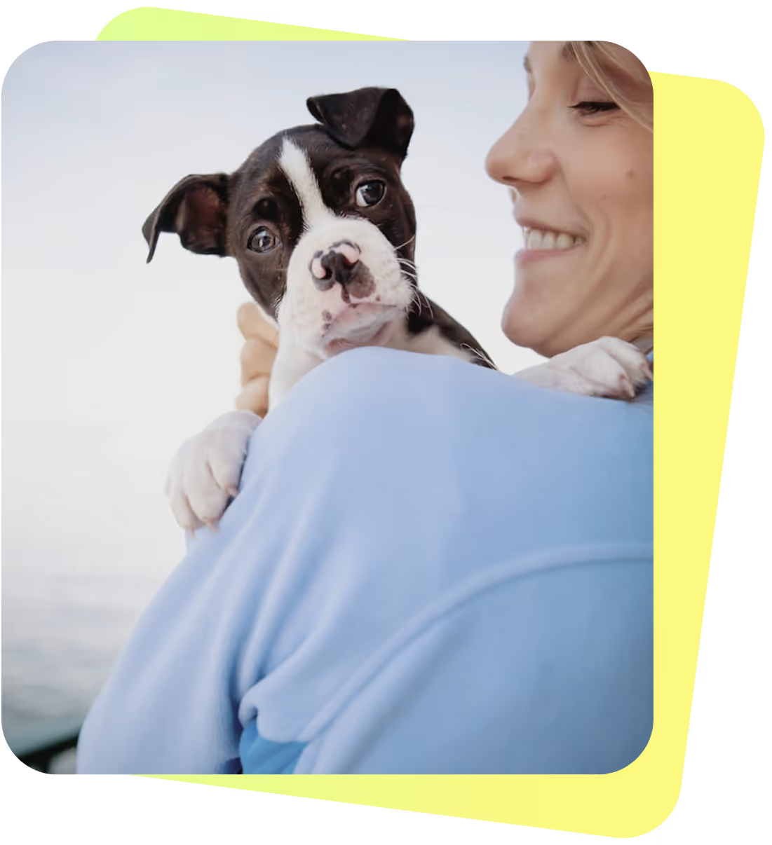 Hunde-OP-Versicherung