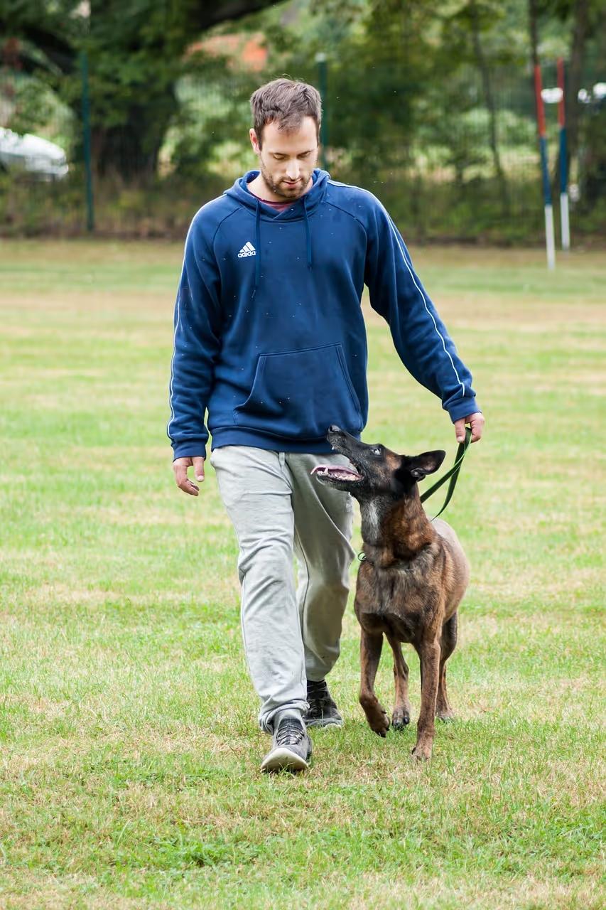 Mann geht mit seinem Hund spazieren